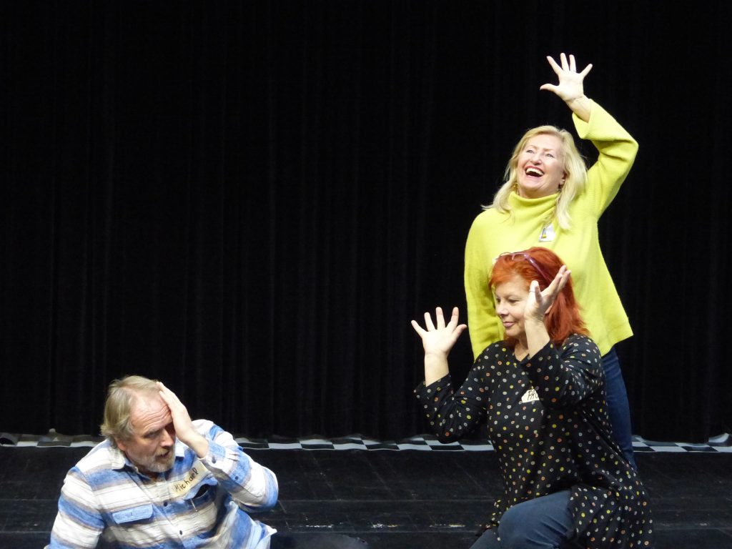 Lehrer*innen machen Theater